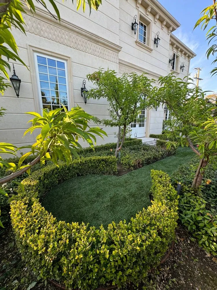 Professional yard cleanup service with custom design in Costa Mesa, CA by Greenplace