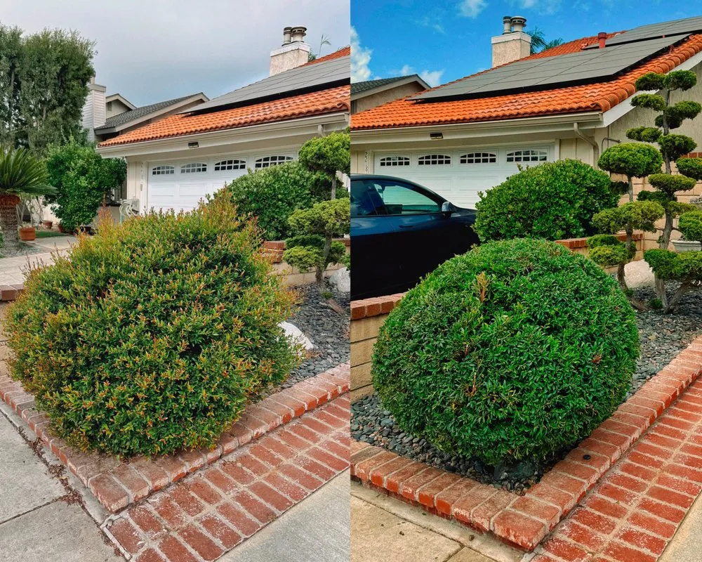 Reliable lawn mowing service for outdoor upgrades in Costa Mesa, CA by GreenPlace Inc