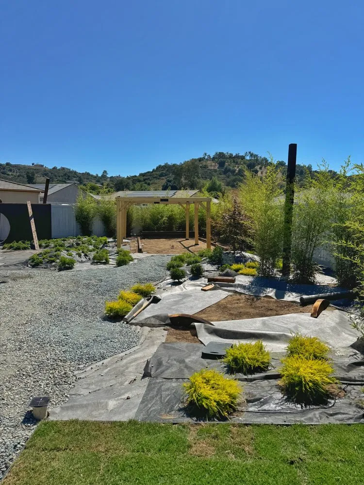 Top-rated lawn care service for year-round maintenance across Costa Mesa, CA - GreenPlace Inc