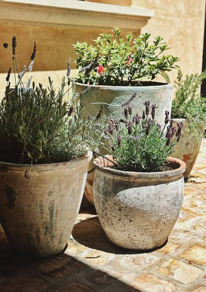 Custom residential landscaping for beautiful yards in Costa Mesa, CA by GreenPlace Inc