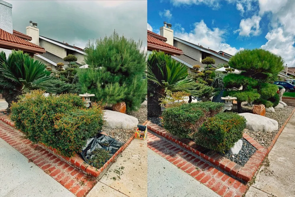 Affordable residential landscaping with custom design across Costa Mesa, CA - GreenPlace Inc