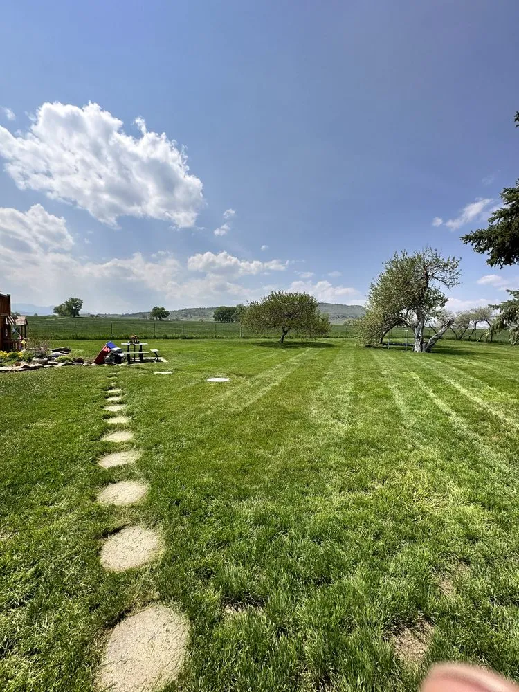 Reliable yard maintenance for year-round maintenance across Denver, CO - Greenplus