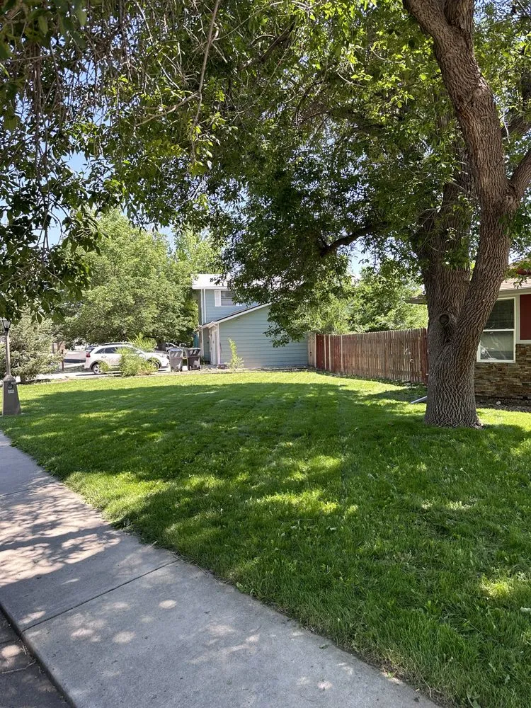 Professional landscape installation for outdoor upgrades in Denver, CO by Greenplus