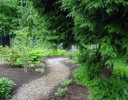 Professional yard maintenance in Edmonds, WA by Greenpoint Landscaping