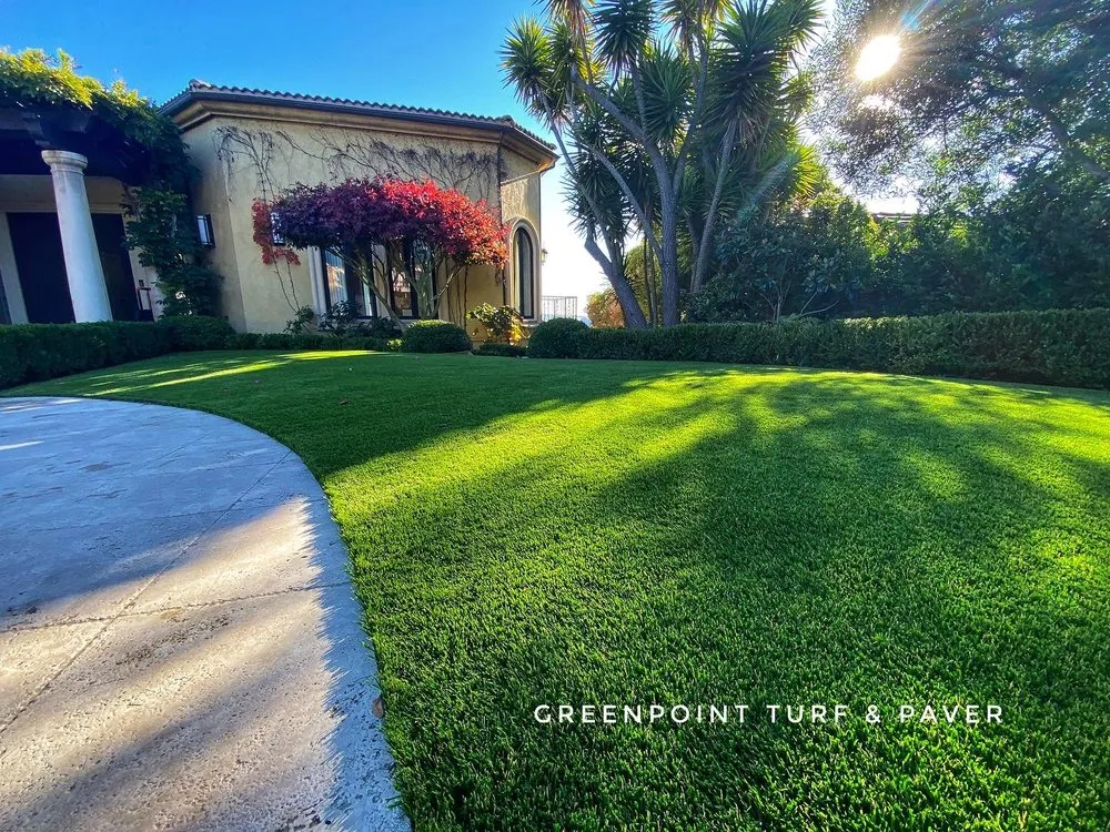 Expert yard cleanup service experts serving San Rafael, CA - GreenPoint Turf & Paver