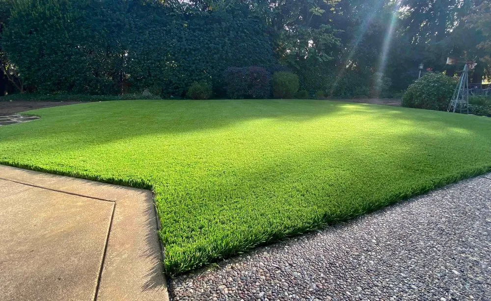 Professional garden landscaping for year-round maintenance across San Rafael, CA - GreenPoint Turf & Paver