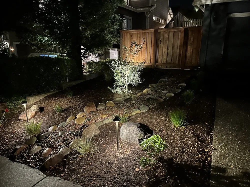 Expert lawn care service with custom design across San Rafael, CA - GreenPoint Turf & Paver