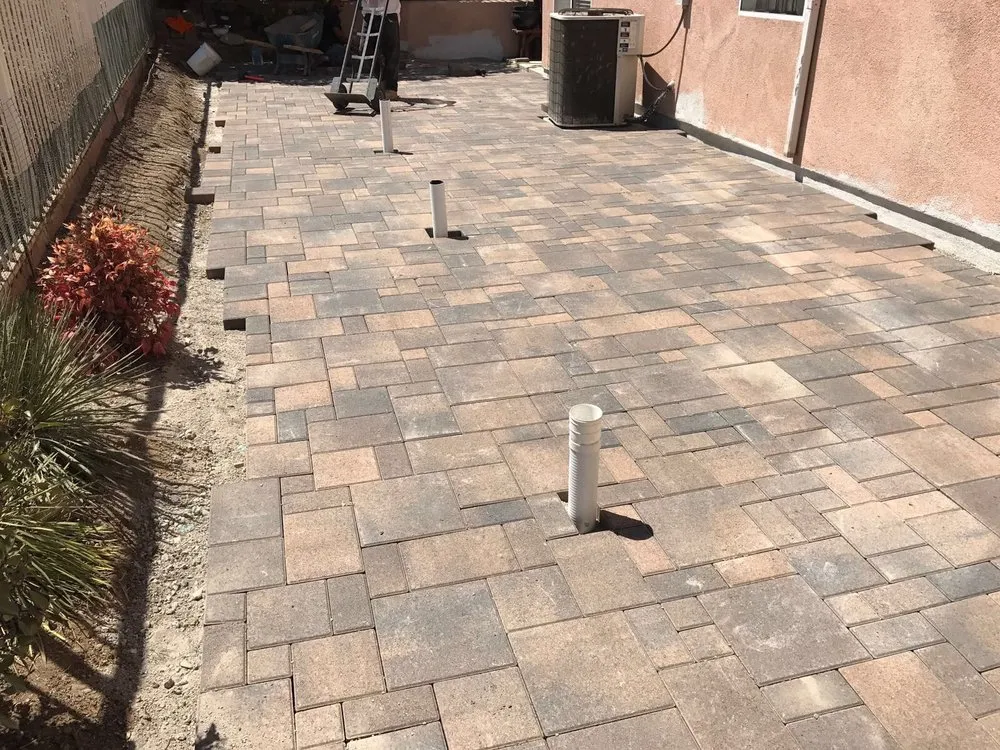 Professional yard cleanup service near you in Newport Beach, CA by Greenpro Direct - Newport Beach