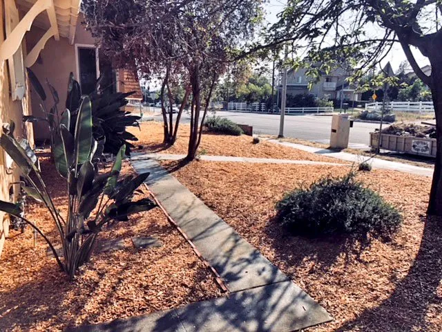 Custom yard maintenance for year-round maintenance across Santa Clarita, CA - GreenPro Direct