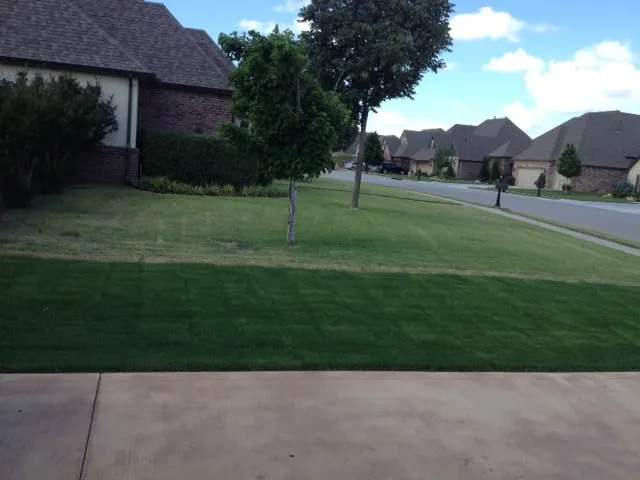 Expert yard cleanup service in Jenks, OK - GreenPro