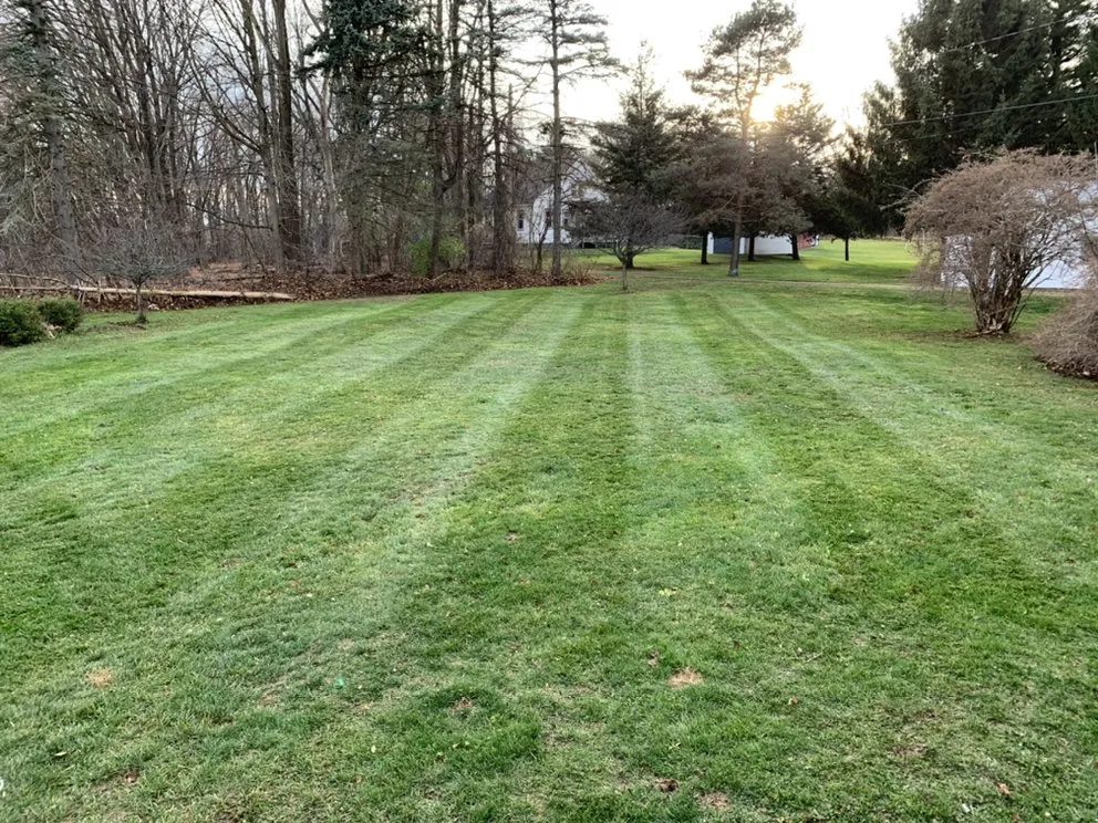 Top-rated landscaping services in Lansing, MI - GreenPro Landscapes