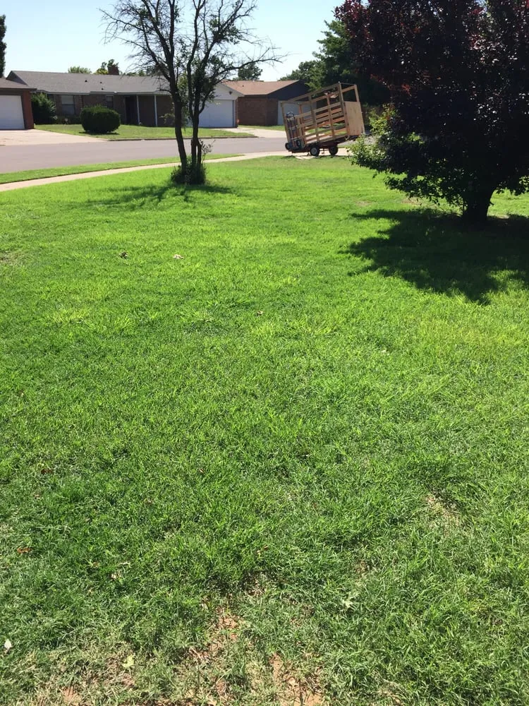 Trusted landscape installation in Lubbock, TX - GreenPro