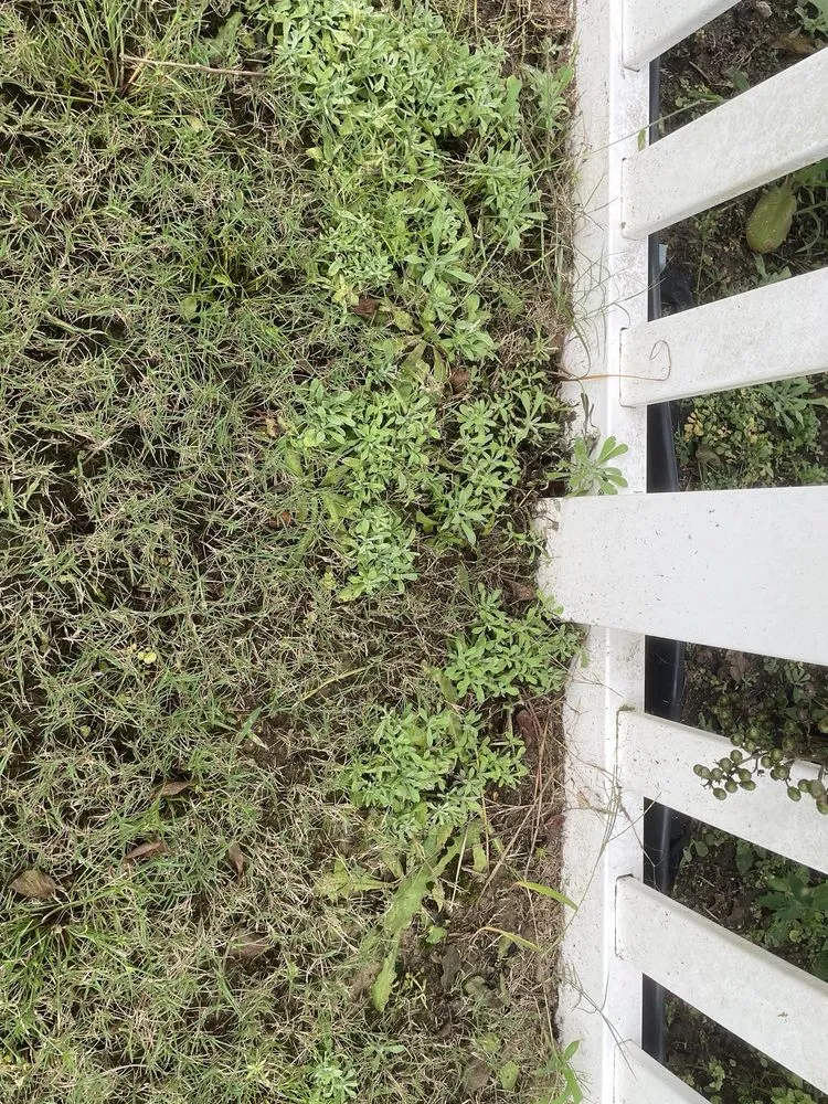 Trusted landscaping services for residential properties across Archer Lodge, NC - GreenPro of the Carolinas