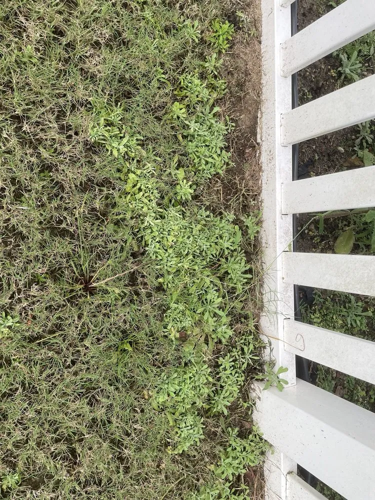 Expert residential landscaping in Archer Lodge, NC - GreenPro of the Carolinas