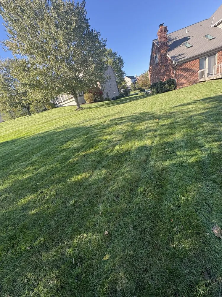 Local yard maintenance in Canonsburg, PA by Greenpro Out Door Service