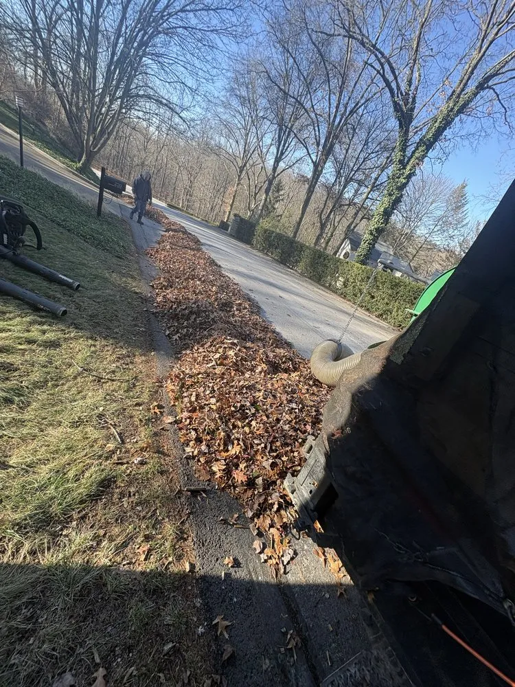 Top-rated yard cleanup service with custom design across Canonsburg, PA - Greenpro Out Door Service