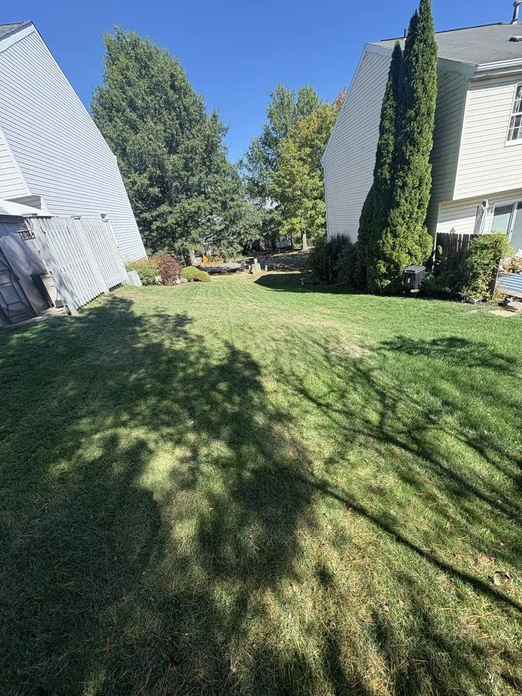 Affordable outdoor landscaping experts serving Canonsburg, PA - Greenpro Out Door Service