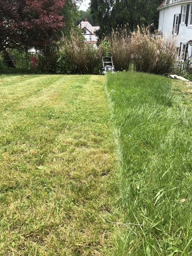 Trusted lawn care service in Canonsburg, PA - Greenpro Out Door Service