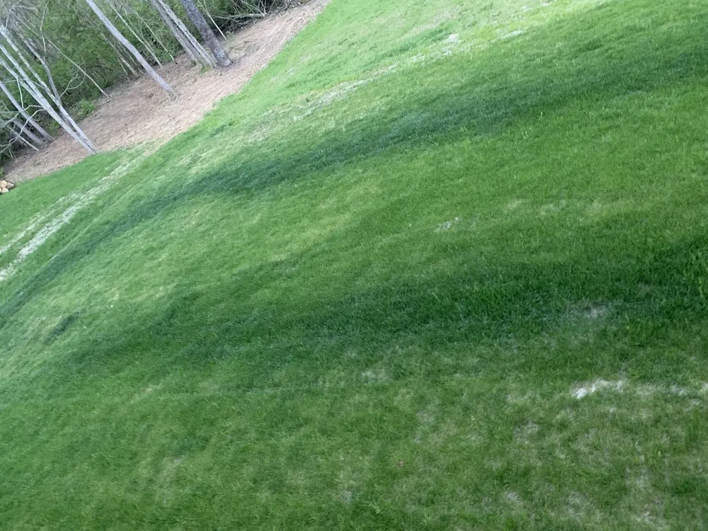 Expert yard maintenance for outdoor upgrades across Franklin, OH - Greenpro Services