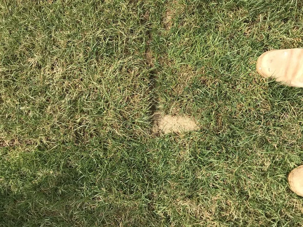 Reliable lawn care service experts serving Franklin, OH - Greenpro Services