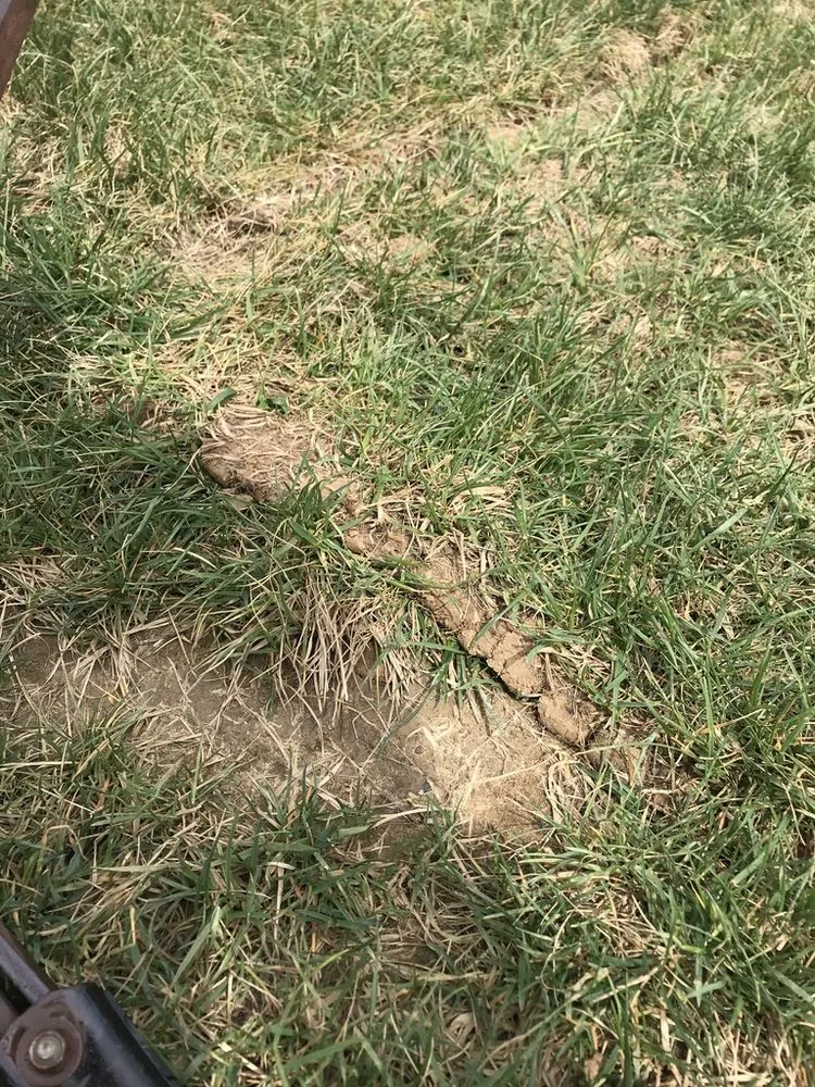 Expert landscaping services near you across Franklin, OH - Greenpro Services