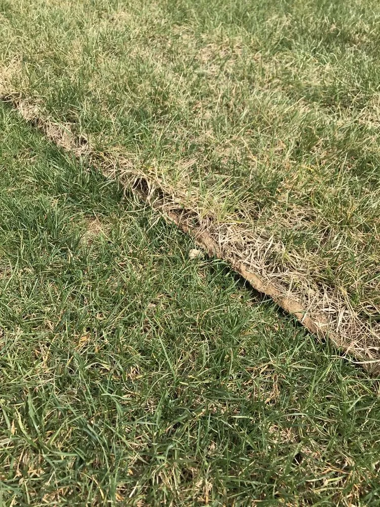 Affordable landscaping services for beautiful yards across Franklin, OH - Greenpro Services