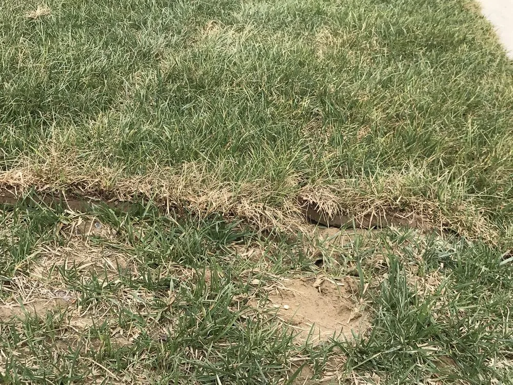 Affordable residential landscaping in Franklin, OH - Greenpro Services