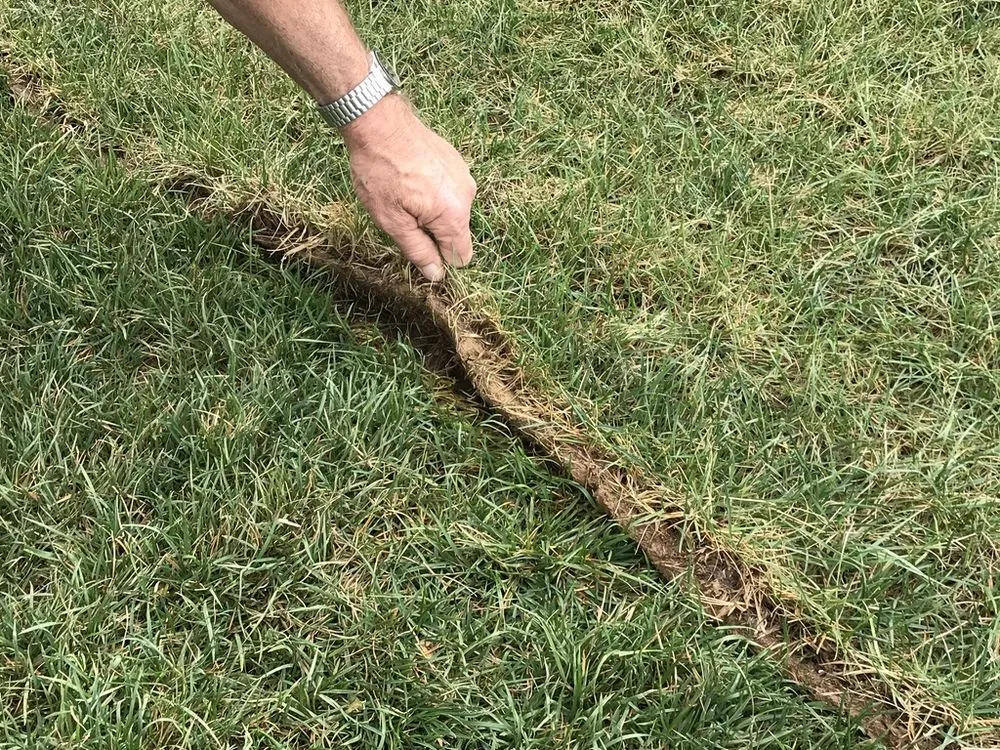 Affordable yard cleanup service in Franklin, OH by Greenpro Services