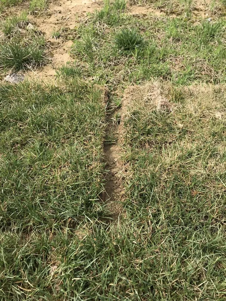 Professional residential landscaping in Franklin, OH by Greenpro Services