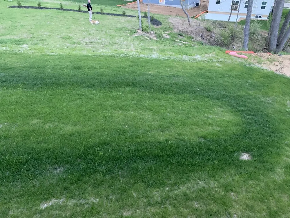 Custom yard maintenance in Franklin, OH by Greenpro Services