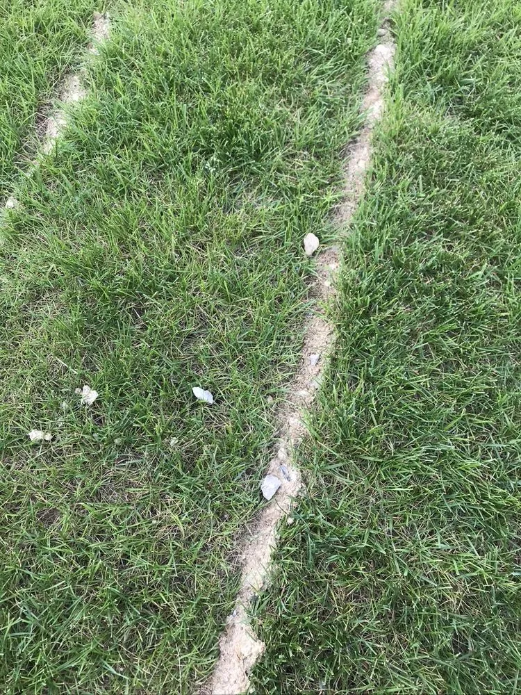 Local landscape design for beautiful yards across Franklin, OH - Greenpro Services