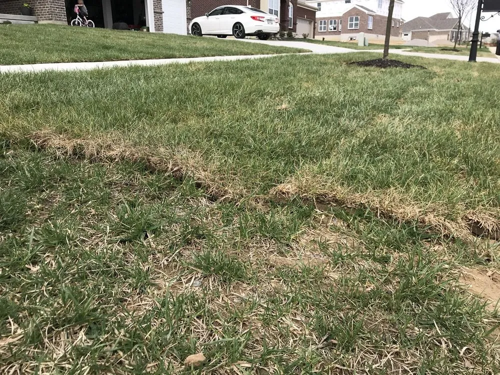 Local outdoor landscaping experts serving Franklin, OH - Greenpro Services