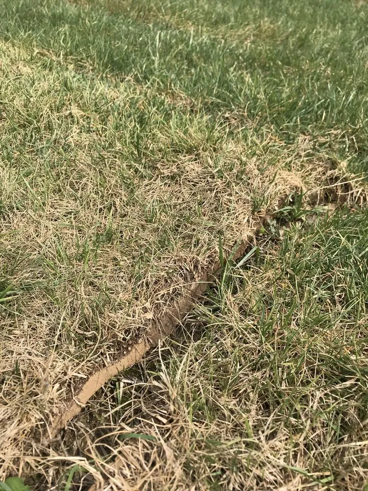 Custom lawn care service in Franklin, OH by Greenpro Services