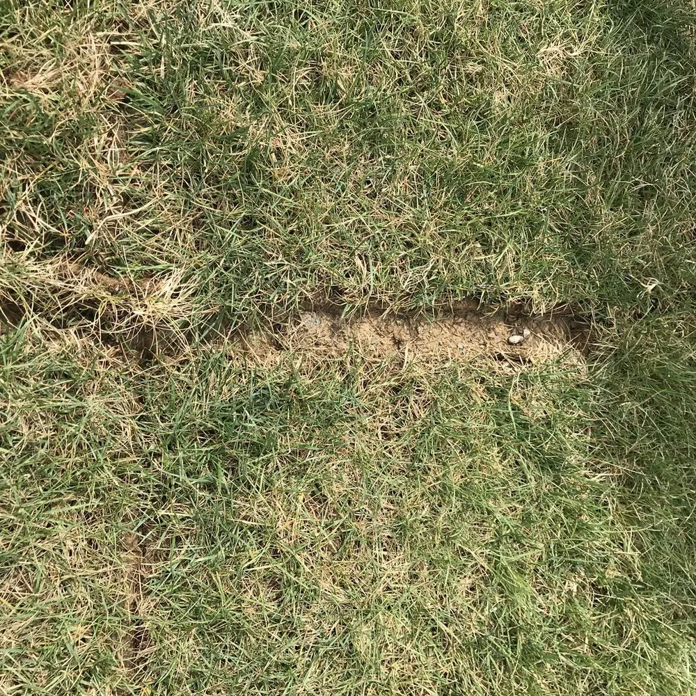 Professional landscape design for year-round maintenance in Franklin, OH by Greenpro Services