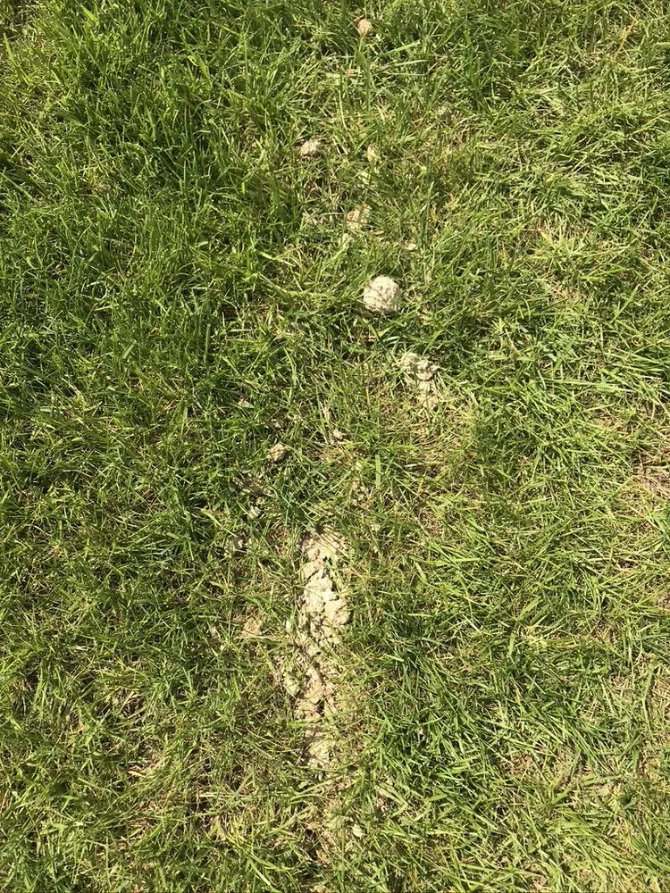 Reliable yard maintenance in Franklin, OH - Greenpro Services