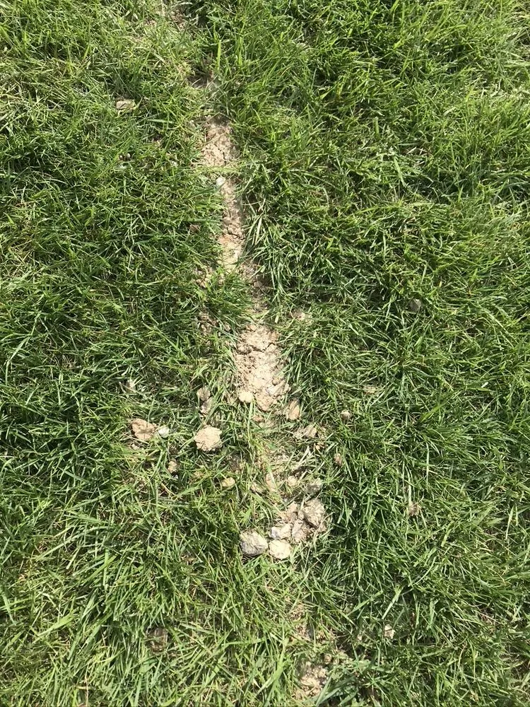 Local yard maintenance for outdoor upgrades across Franklin, OH - Greenpro Services