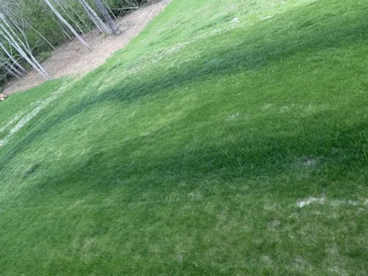 Greenpro Services Logo