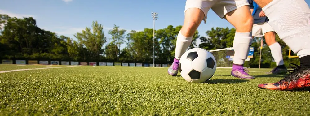 Professional yard cleanup service in Brooklyn, NY - Greenr World Grass