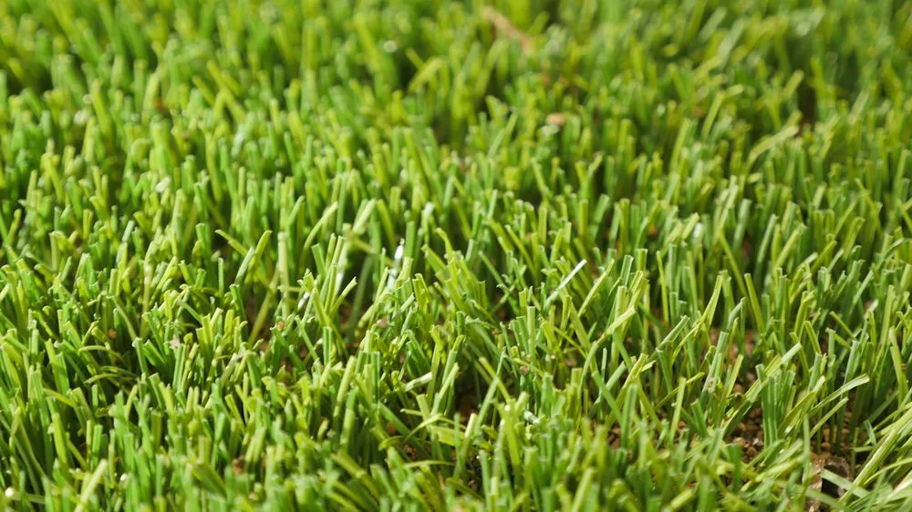 Professional lawn care service for beautiful yards in Brooklyn, NY by Greenr World Grass