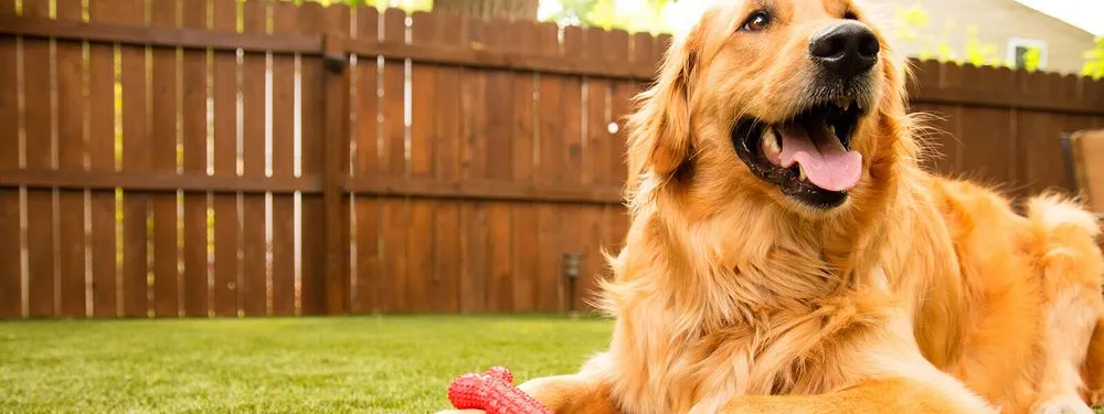 Local residential landscaping for beautiful yards in Brooklyn, NY by Greenr World Grass