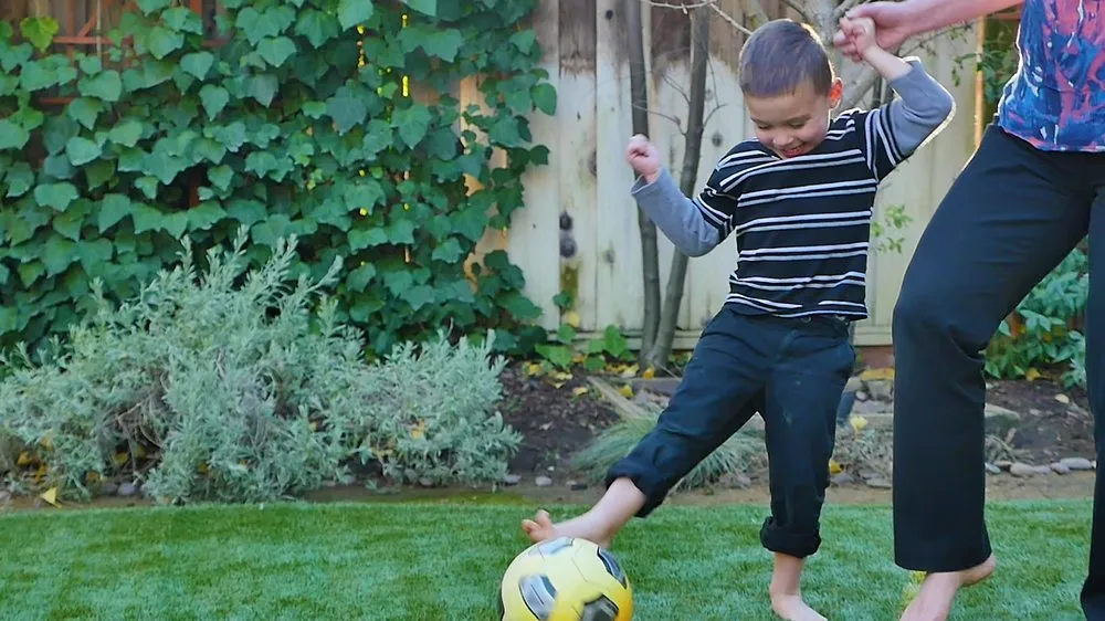 Custom yard cleanup service for beautiful yards across Brooklyn, NY - Greenr World Grass