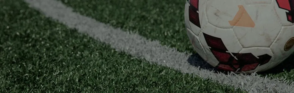 Custom landscaping services experts serving Brooklyn, NY - Greenr World Grass