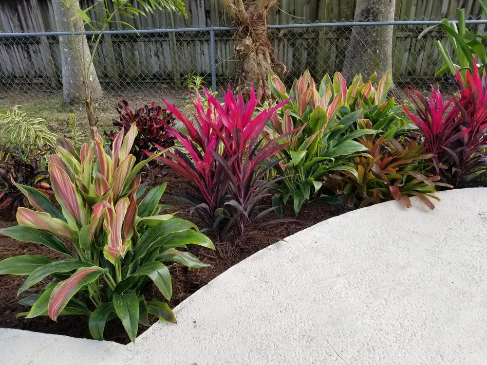 Professional garden landscaping experts serving Miami, FL - GreenRidge Landscape & Nursery