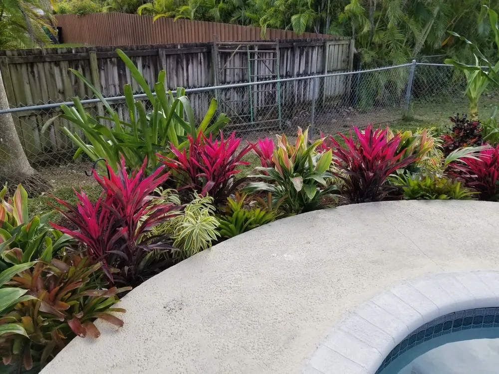 Custom garden landscaping in Miami, FL - GreenRidge Landscape & Nursery