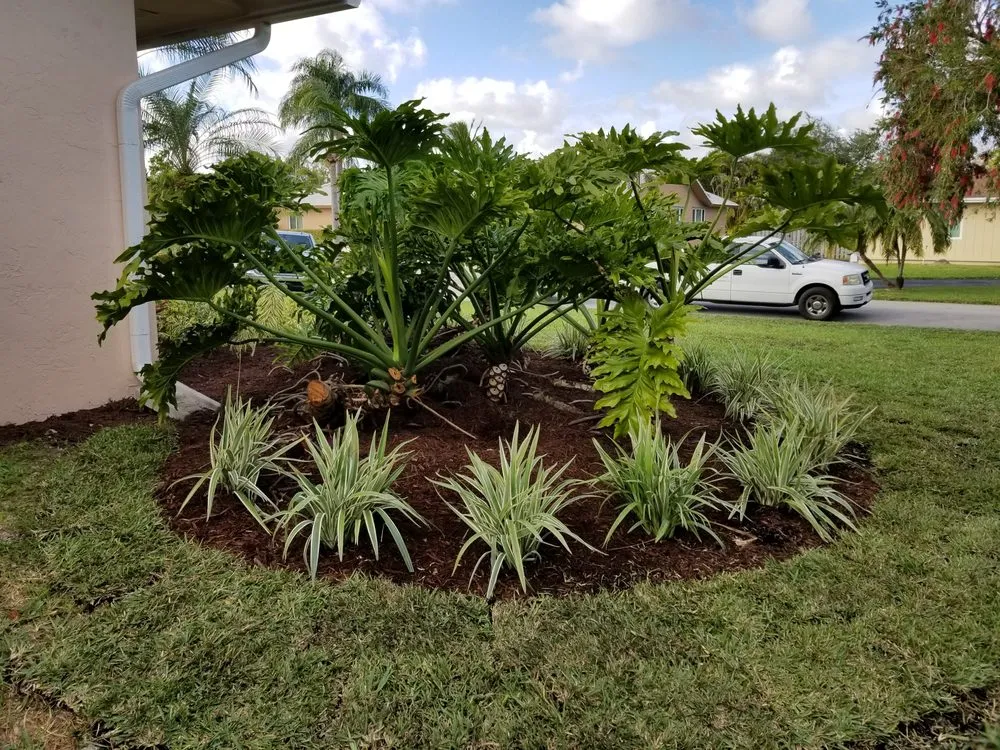 Local outdoor landscaping experts serving Miami, FL - GreenRidge Landscape & Nursery