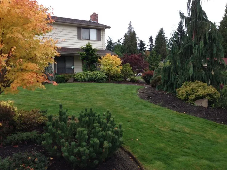 Professional yard maintenance for residential properties across Bothell, WA - Greenridge Landscape