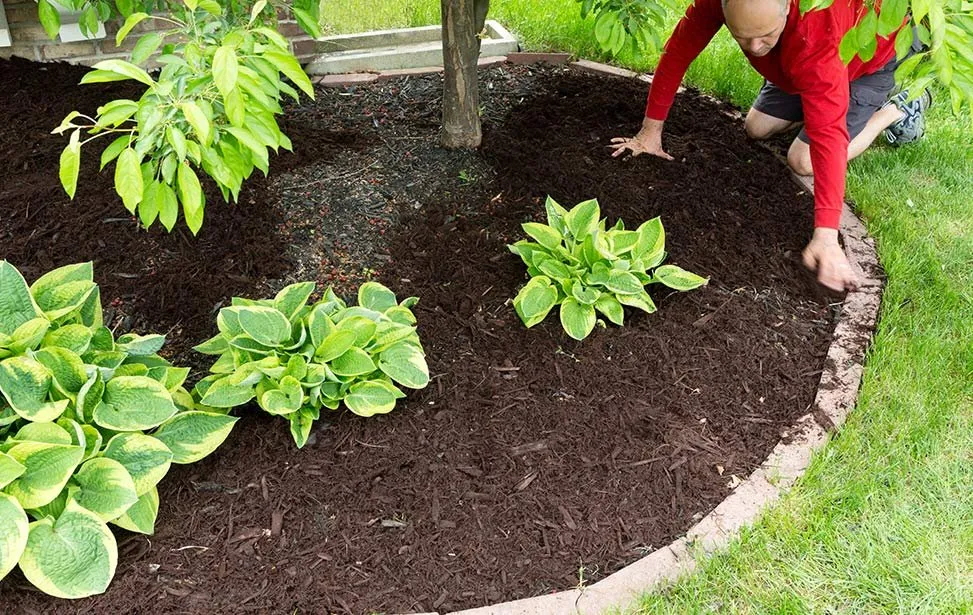 Trusted garden landscaping in West Seneca, NY by Greenrock Property Services