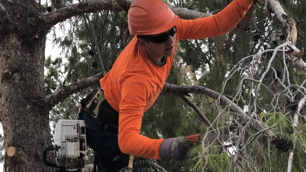 Affordable residential landscaping in Lafayette, TN by GreenRoots