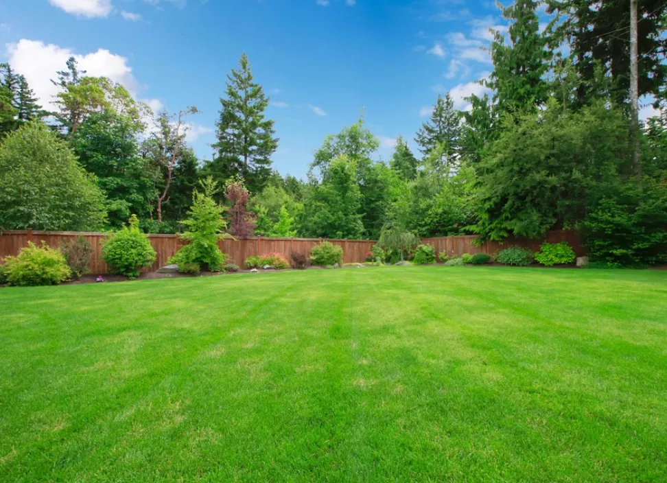 Reliable yard cleanup service in Kernersville, NC by Greenroots Lawn & Hardscapes