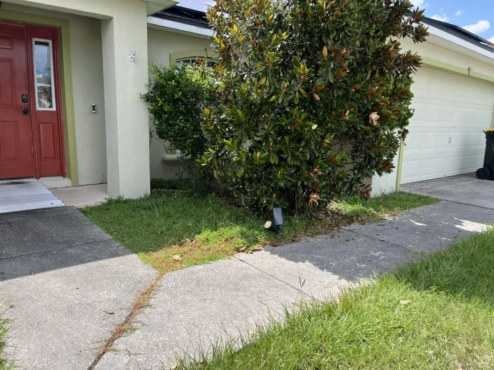 Affordable lawn care service in Lithia, FL by GreenRoots Outdoor Solutions